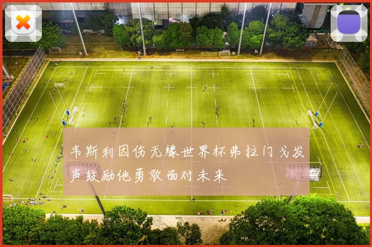 韦斯利因伤无缘世界杯弗拉门戈发声鼓励他勇敢面对未来