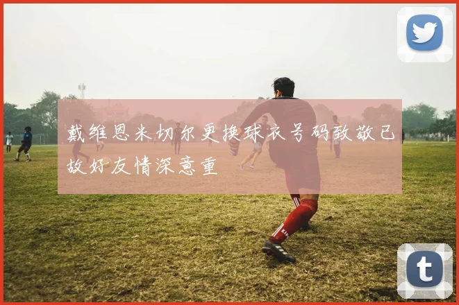 戴维恩米切尔更换球衣号码致敬已故好友情深意重